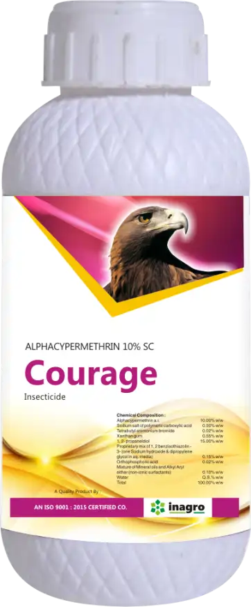 Courage SC